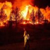 Hundreds Evacuated from Suffolk Holiday Park as Major Wildfire Sweeps Across Heathland