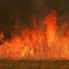 French Wildfire Triggers Rare Lightning Storm as Flames Advance Towards Bordeaux