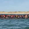 Record 230 Migrants Cross English Channel in Single MegaDinghy