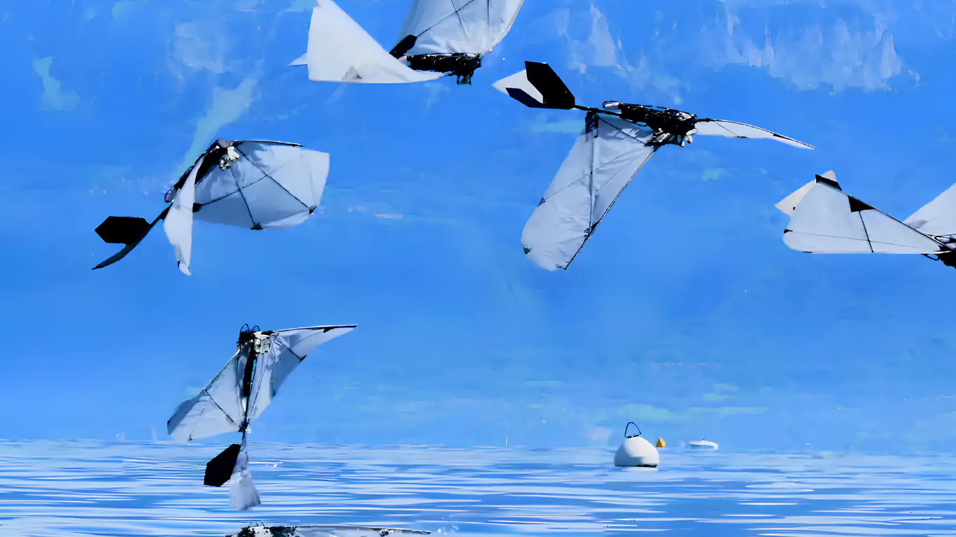 Background