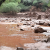 Grand Canyon Flash Flood Leaves One Dead and 15 Missing as Rescue Teams Race to Find Those Still Unaccounted For