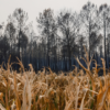 France Unveils More Than €1 Billion in Emergency Aid as Extreme Weather Leaves Farmers Facing Massive Losses